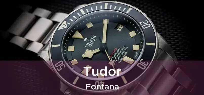 Tudor Fontana